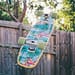 Skate board