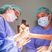 orthopedic