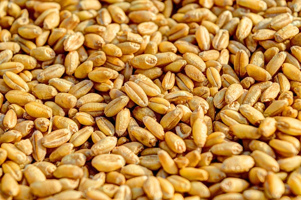 Peanuts